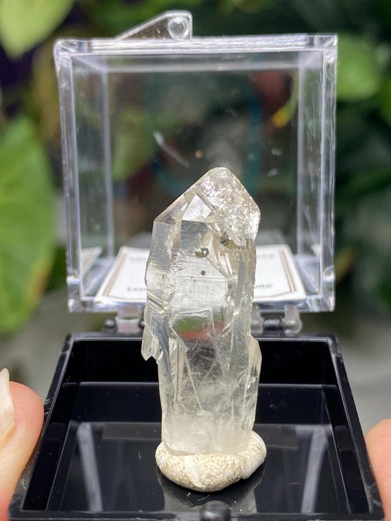 Quartz with Pyrite Inclusions Thumbnail~Purple Hope Claim Kings County WA~CrystallineDreamMinerals~Ledford's Minerals