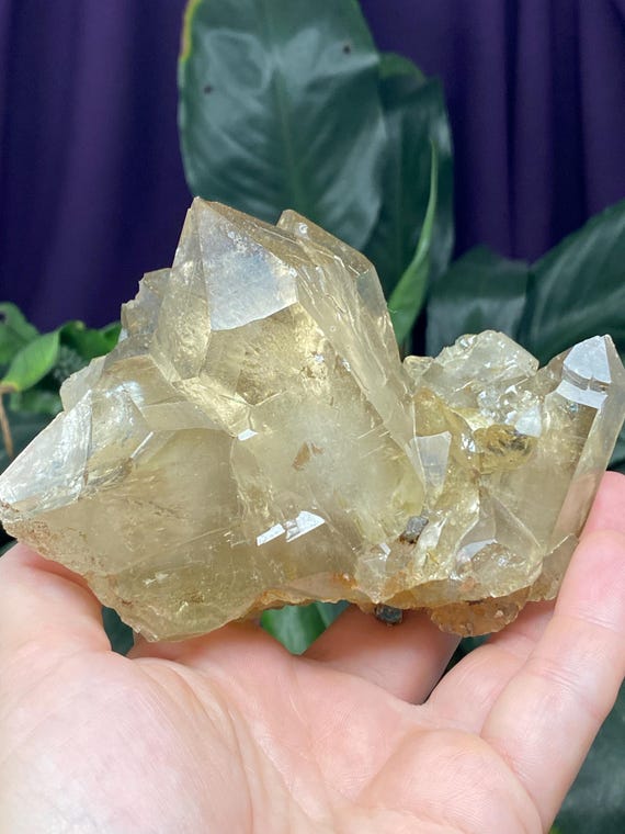 North Carolina Citrine Quartz Cluster with Mica Ex Terry Ledford