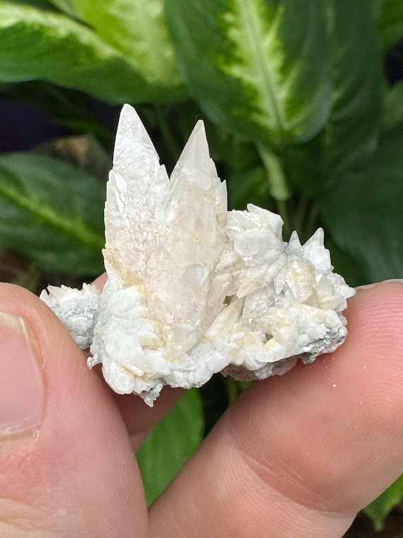 DogTooth Calcite cluster~Ledford’s Minerals