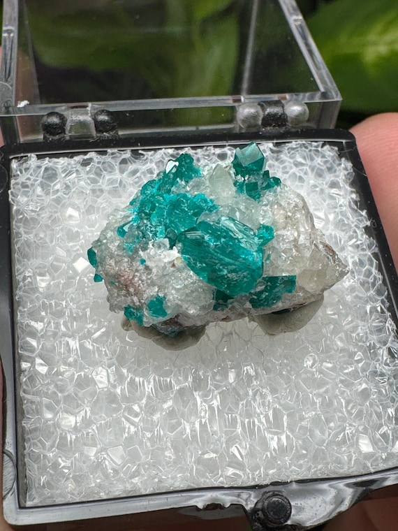 Dioptase and Quartz Thumbnail~Congo~Crystalline Dream Minerals~Ledfords Minerals