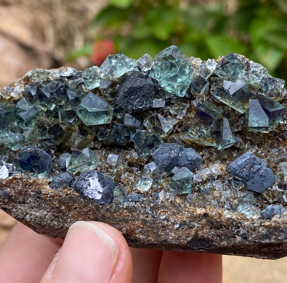 Diana Maria Fluorite