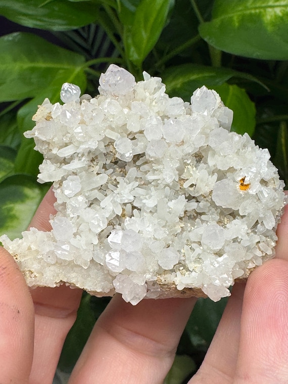 JXR Amethyst Mine Quartz Druzy~Jackson’s Crossroads~Wilkes County Georgia~Crystalline Dream Minerals~Ledfords Minerals