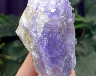 デントン鉱山 イリノイ州 黄鉄鉱を含む蛍石と方解石 - Etsy 日本