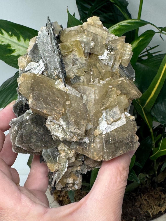 Lustrous Calcite on Siderite and Muscovite with Ruticulated Rutile~Hiddenite, North Carolina~Ex Terry Ledford~Ledford’s Minerals