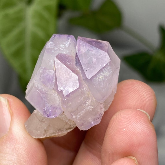 Lilac Jackson's Crossroads Amethyst Cluster