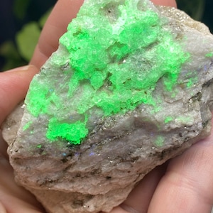 North Carolina Chalk Mountain UV-reaktiv hyalitopal