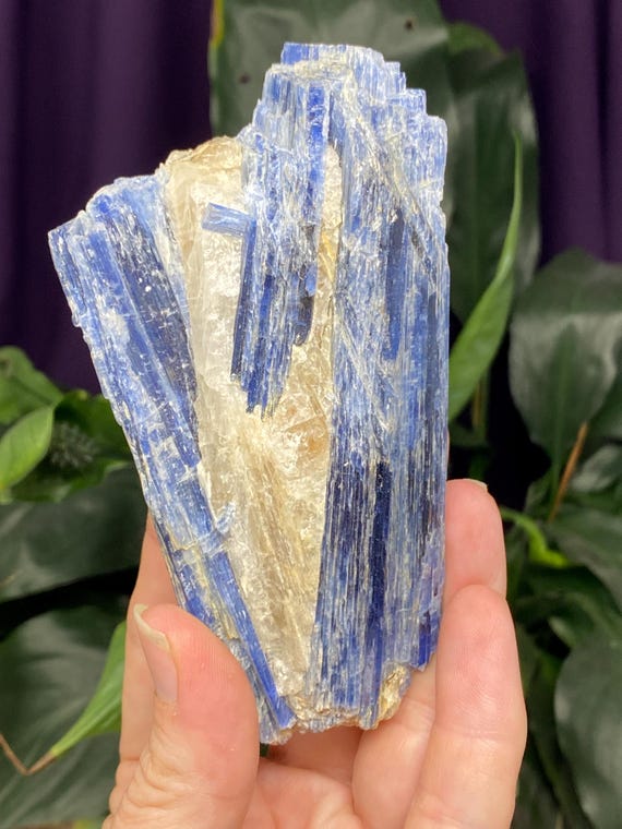 Lustrous North Carolina Kyanite Blade Cluster Ex Terry Ledford