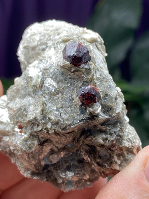 North Carolina Almadine Garnet in Mica