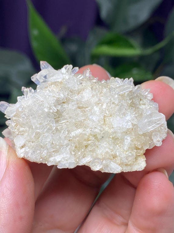 Jackson’s Crossroads Amethyst Mine Quartz Druzy