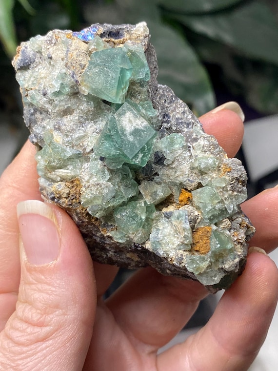 Emerald Green Diana Maria Fluorite on Matrix