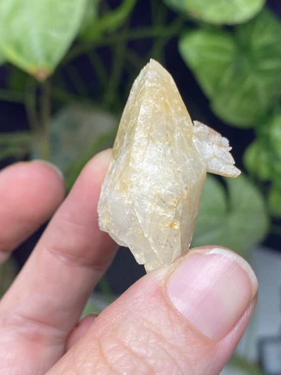 Etched Kentucky Dogtooth Calcite Cluster