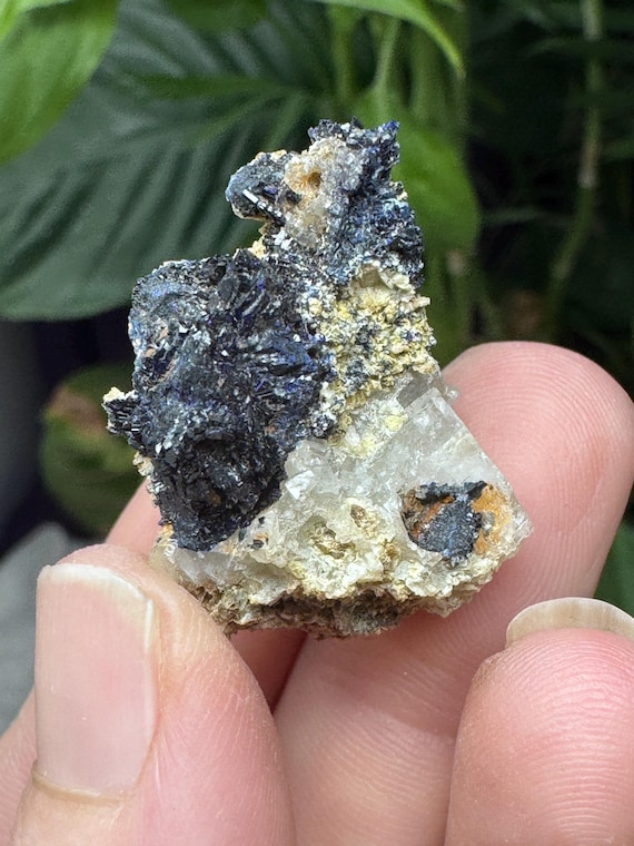 Azurite~Socalo Mine~Zacatas, Mexico~Nature Made Goods~Ledford’s Minerals