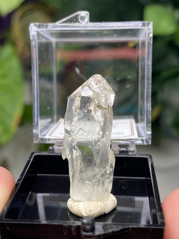 Purple Hope Claim Kings County WA Quartz with Pyrite Inclusions Thumbnail~Nature Made Goods~Ledford's Minerals