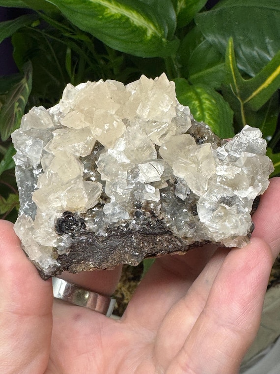 Smithsonite Cluster~Tsumeb, SW Africa~Ledford’s Minerals