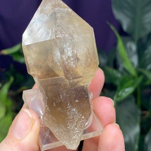 Hallelujah Junction Smoky Quartz Scepter