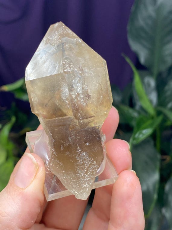 Hallelujah Junction Smoky Quartz Scepter