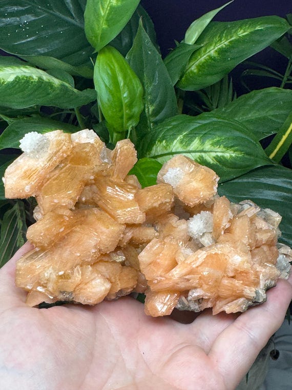 Aesthetic Stilbite with Smoky Quartz~India~Nature Made Goods~Ledford’s Minerals