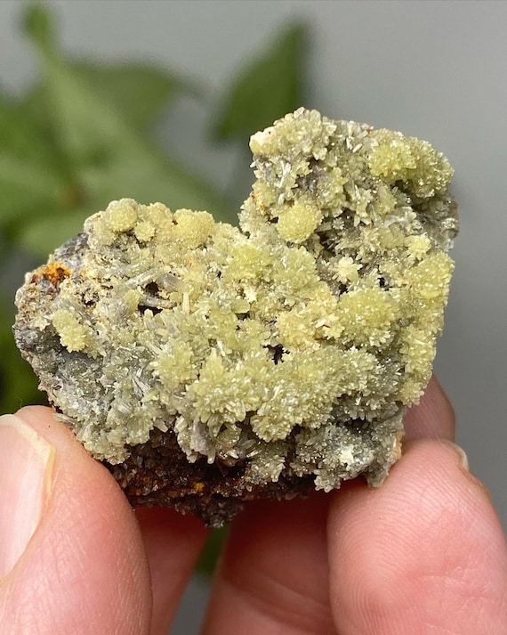 Lustrous Green Pyromorphite Cluster