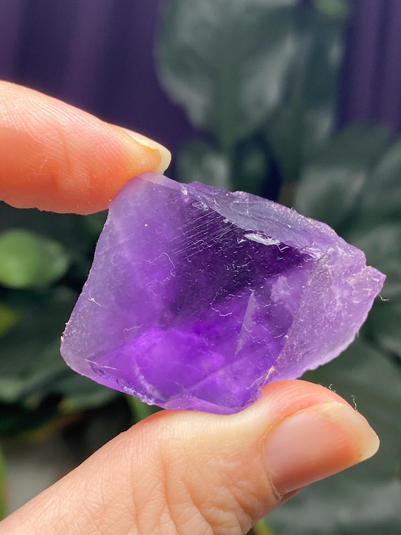 Hasties Quarry Illinois Fluorite with UV Reactive Petroleum Inclusions