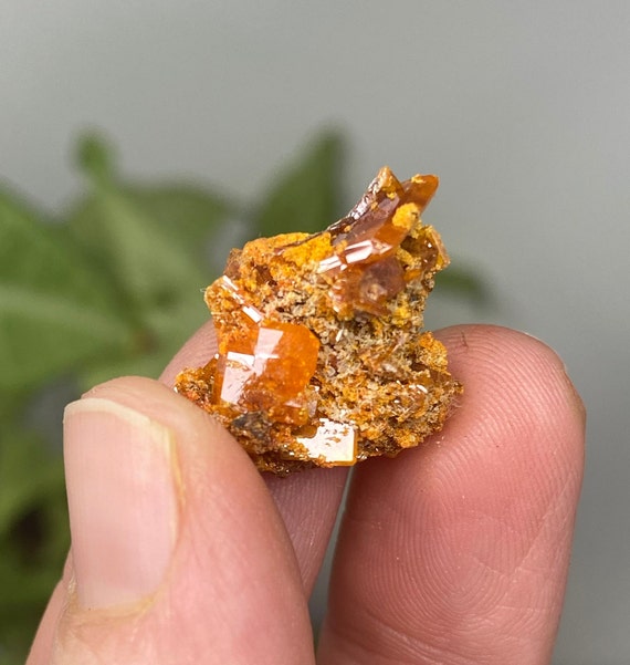 Vibrant Orange Red Cloud Wulfenite Cluster