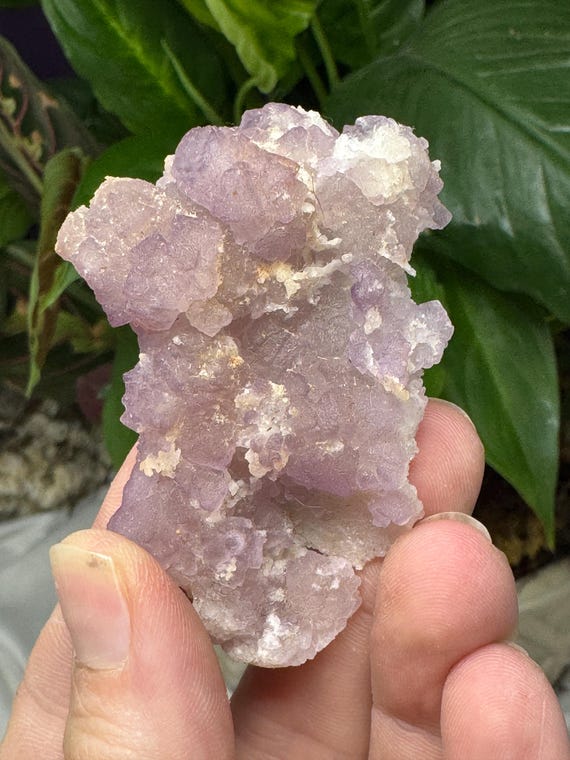 Purple Tetrahedral Fluorite La Fluorita Dulcita~Tombstone Arizona~Ledford's Minerals