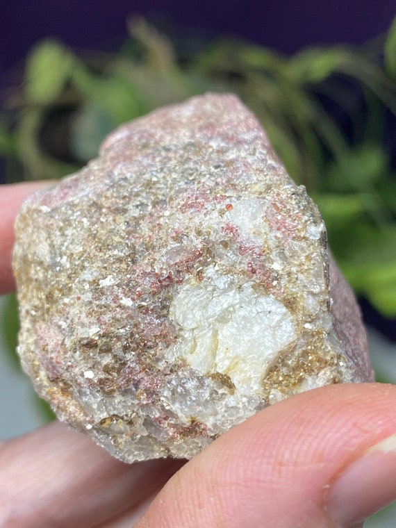 Sinkhole Mine North Carolina Garnet in Mica and Quartz