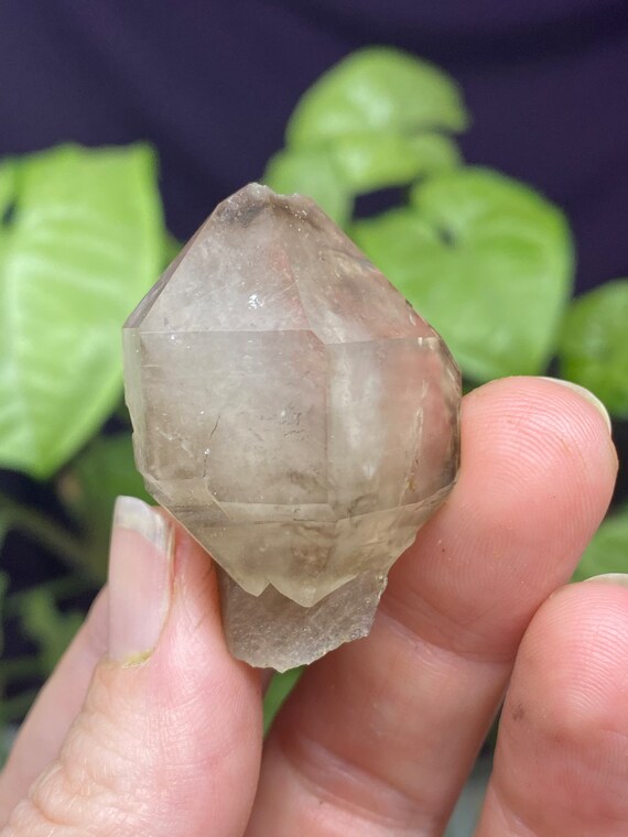 Hallelujah Junction Nevada Smoky Quartz Scepter