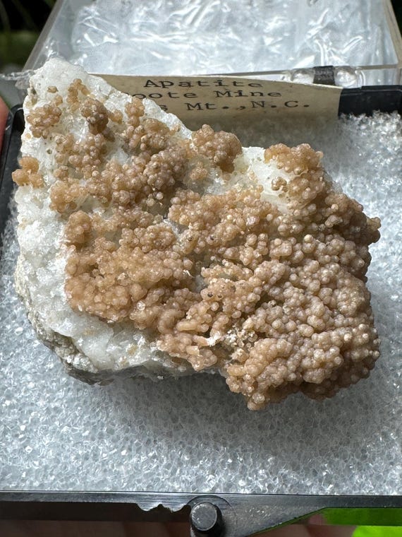 Botryoidal Apetite ~Foote Mine~Kings Mountain North Carolina~Ledford’s Minerals