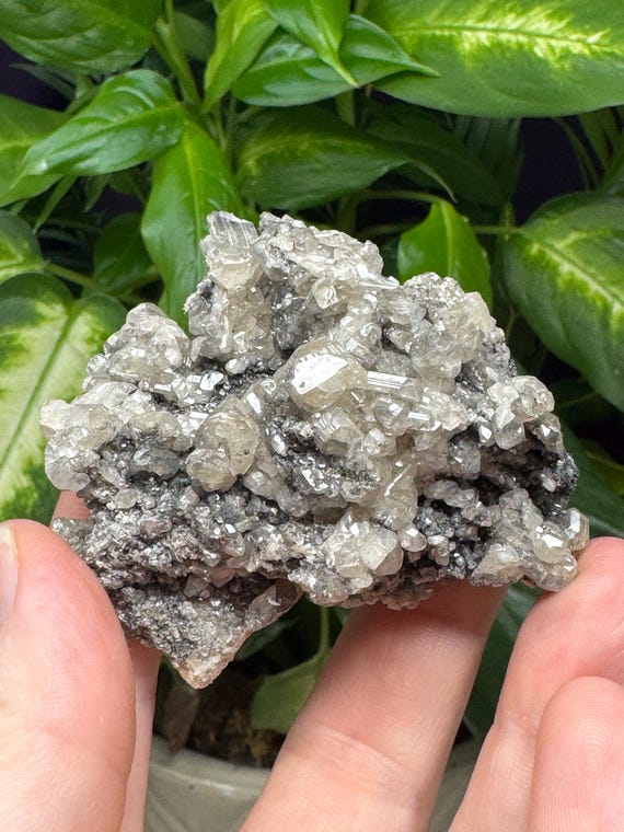 Cerussite Cluster ~Tsumeb, Namibia~Ledford’s Minerals~Old finds