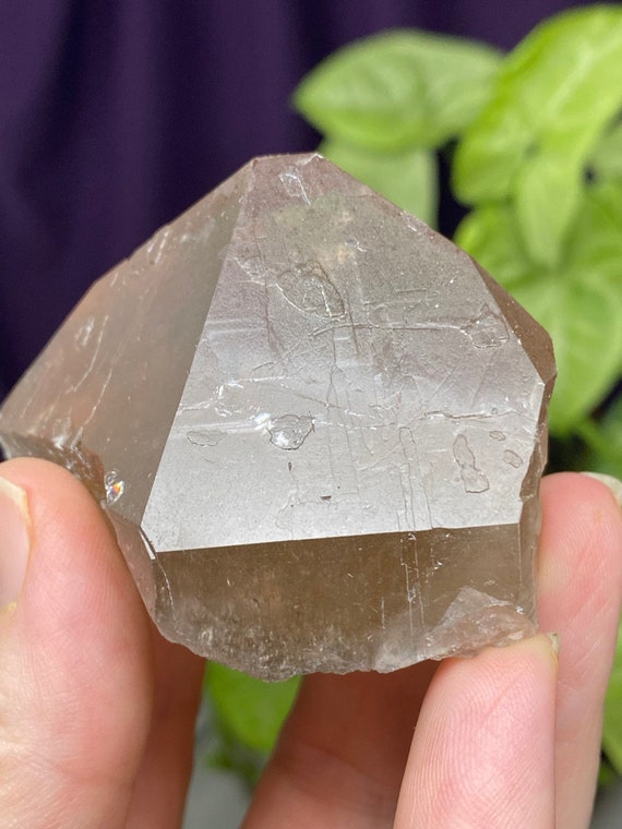 North American Emerald Mine North Carolina Smoky Quartz Crystal
