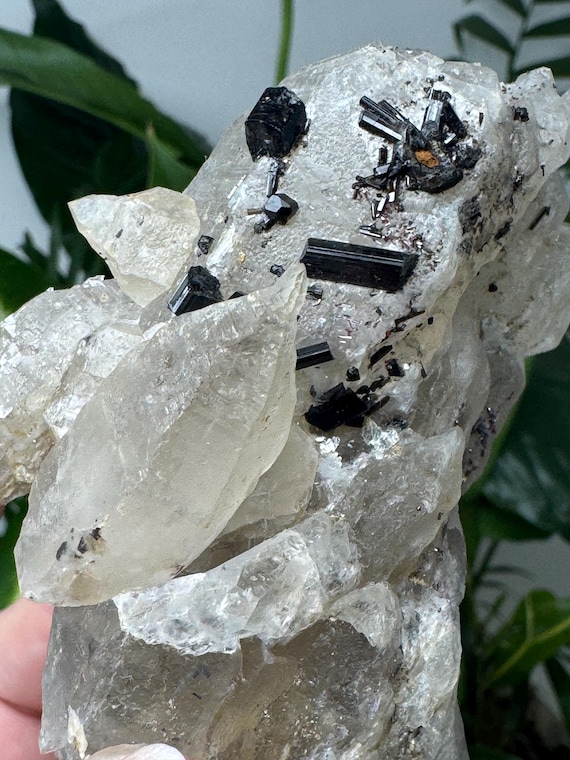 Beautiful Double Terminated North Carolina Quartz Cluster with Tourmaline & Red Rutile~Ex Terry Ledford collection~Ledford’s Minerals