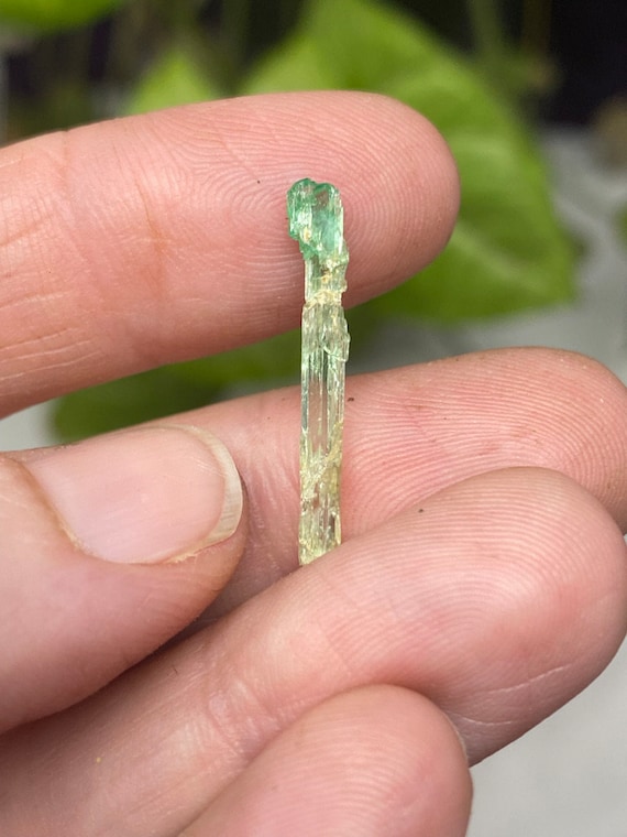 Rare Chromium Green North Carolina Bicolor Hiddenite Crystal
