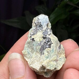Puede incluir: Un pequeño espécimen mineral gris y verde con un gran cristal negro brillante en la parte superior.