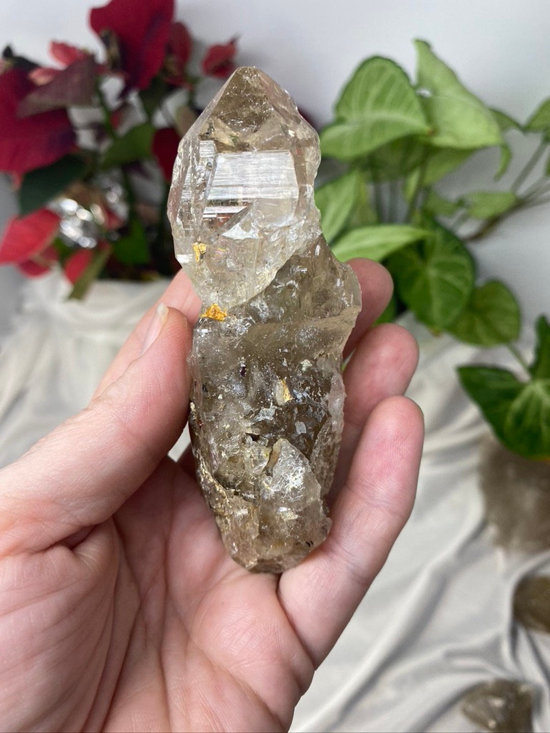 North Carolina Quartz With Inclusions, Red Rutile and Record Keepers Etsy