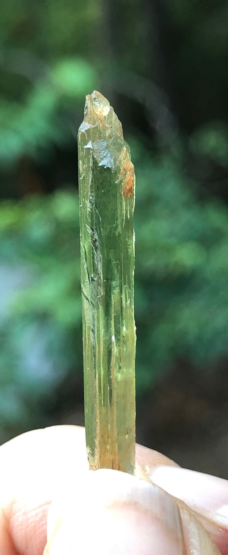 Rare Chromium Green North Carolina Hiddenite with Mud Inclusions image 5