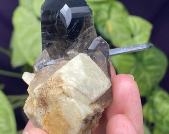 Malawi Smoky Quartz Cluster Needle Points with Feldspar
