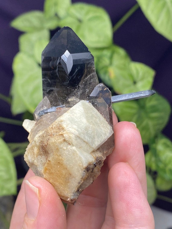 Malawi Smoky Quartz Cluster Needle Points with Feldspar