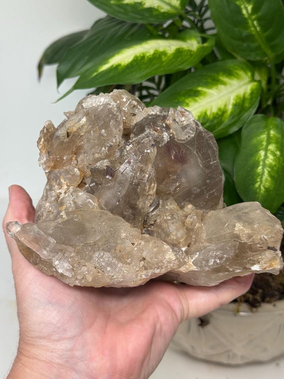 Beautiful North Carolina Quartz Cluster with Rutile and Scepters~Ex Terry Ledford collection~Ledford’s Minerals