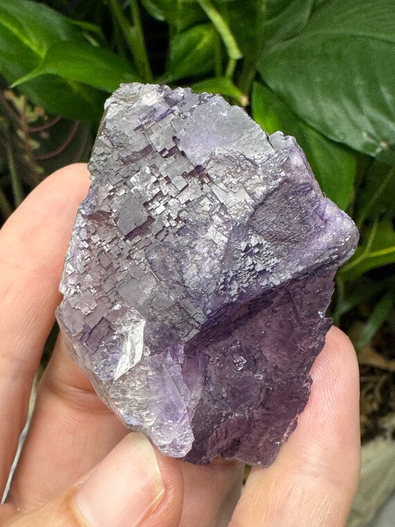 Purple Fluorite~Elmwood Mine~Smith County, Tennessee~Ledford’s Minerals