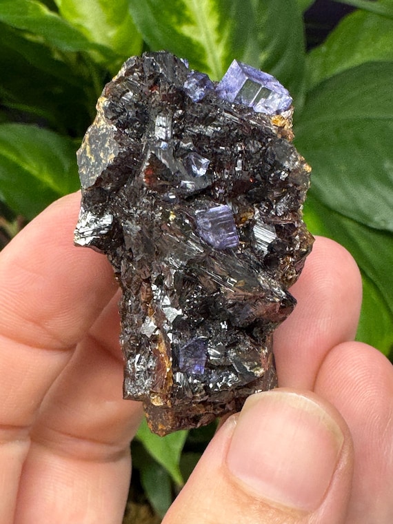 Purple Fluorite and Sphalerite~Elmwood Mine~Smith County, Tennessee~Ledford’s Minerals