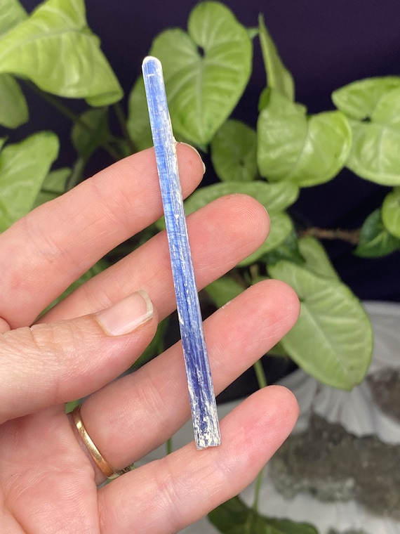 Brazil Blue Kyanite Blade
