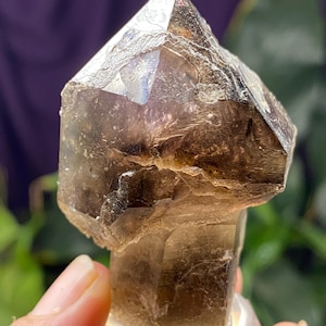 Hallelujah Junction Smoky Quartz Scepter