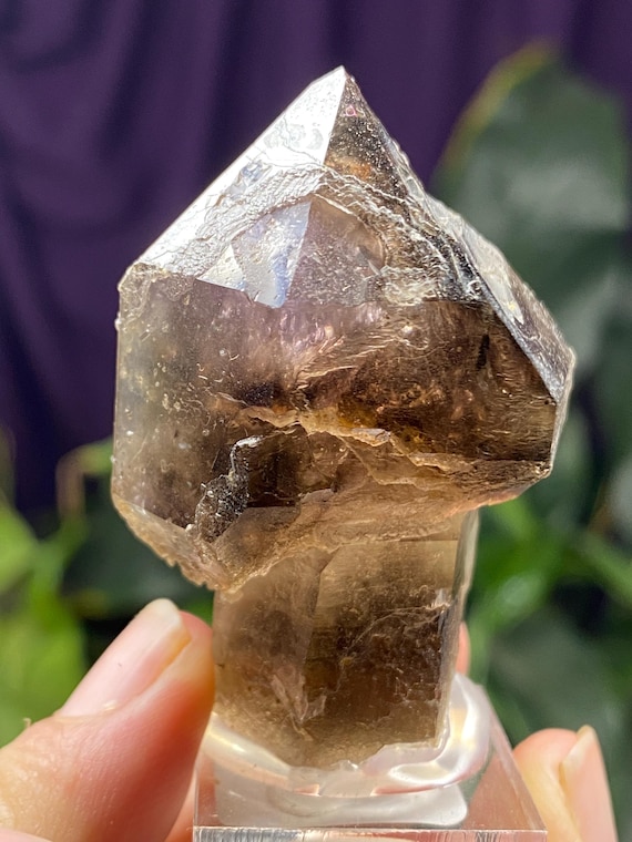 Hallelujah Junction Smoky Quartz Scepter