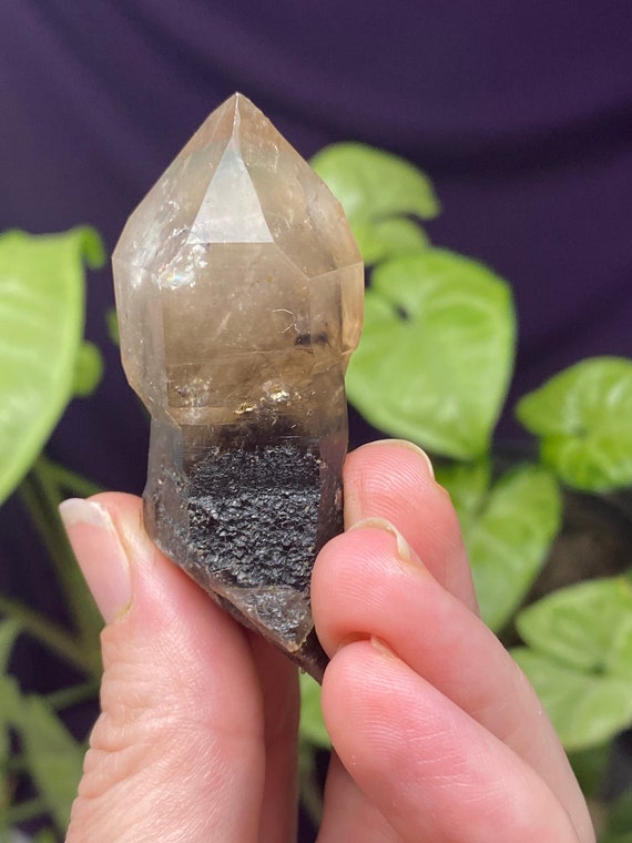 Hallelujah Junction Nevada Smoky Quartz Scepter