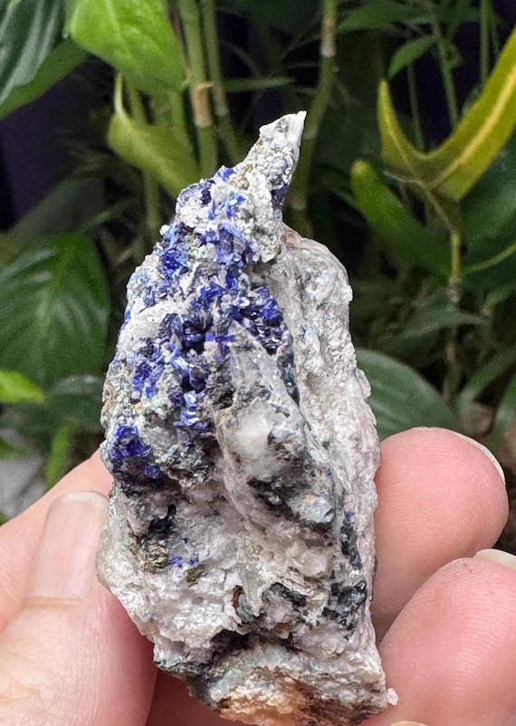 Azurite~Socalo Mine~Zacatas, Mexico~Nature Made Goods~Ledford’s Minerals