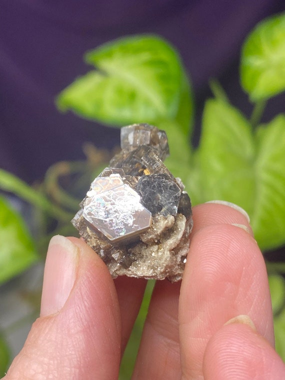 Lincolnton NC Muscovite Cluster