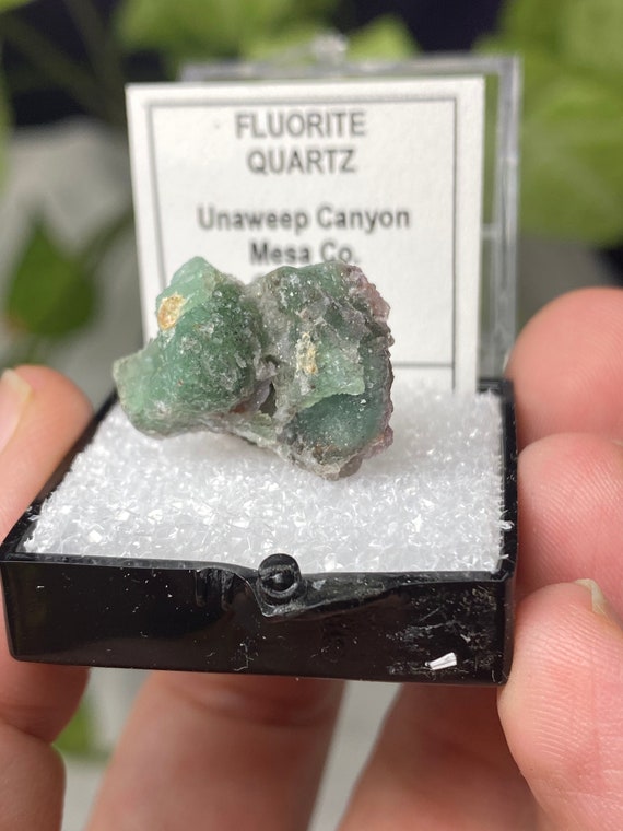 Beautiful Fluorite and Quartz Thumbnail