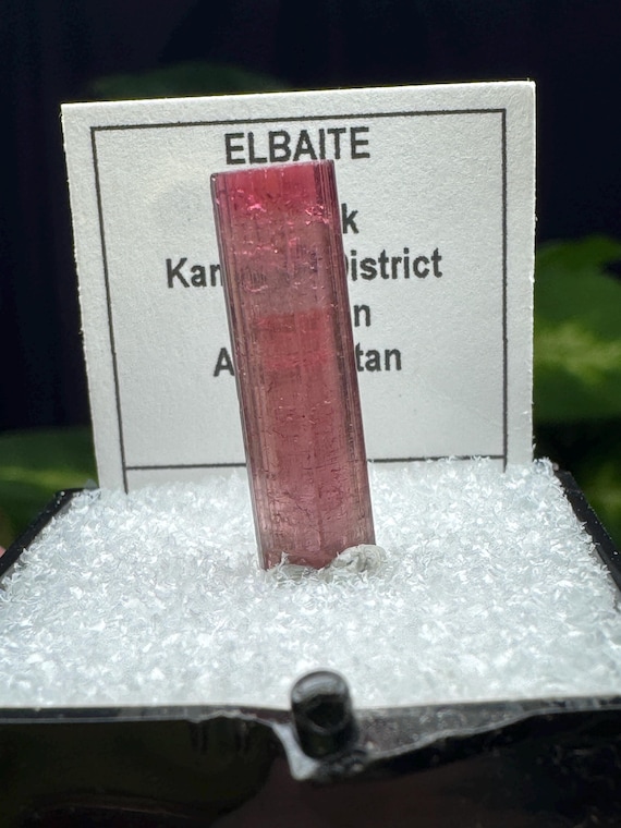 Elbaite~Paprock, Kamdesh District~Nuristan~Afghanistan~Crystalline Dream Minerals~Ledford’s Minerals