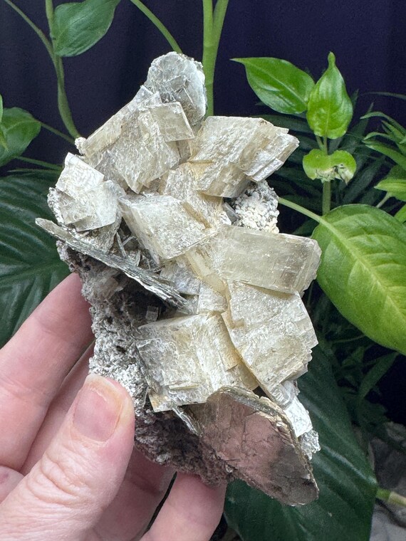 Calcite and Mica ~NAEM(North Carolina Emerald Mine)~Ex Terry Ledford~Ledford’s Minerals