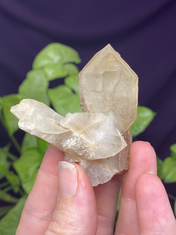 Hallelujah Junction Nevada Smoky Quartz Scepter